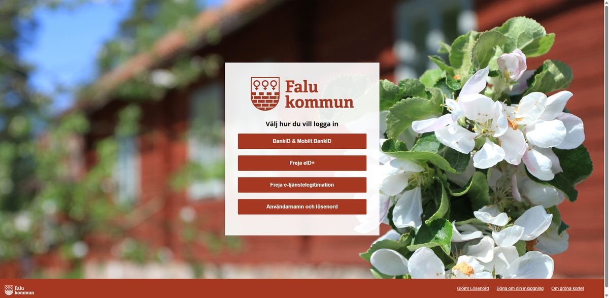 Falun Skola24 Logo